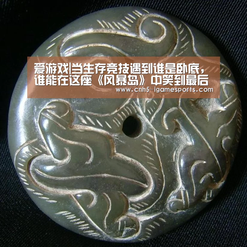 爱游戏|当生存竞技遇到谁是卧底,谁能在这座《风暴岛》中笑到最后(图4) 爱游戏官网