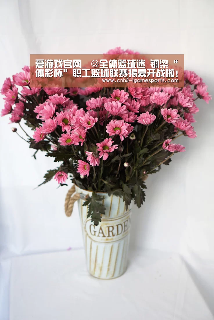爱游戏官网_
@全体篮球迷 铜梁“体彩杯”职工篮球联赛揭幕开战啦!(图3) 爱游戏app