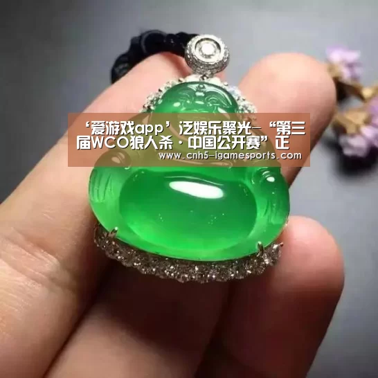 ‘爱游戏app’泛娱乐聚光-“第三届WCO狼人杀·中国公开赛”正式启动(图1) 爱游戏