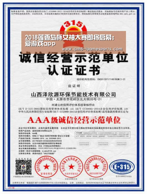 爱游戏官网